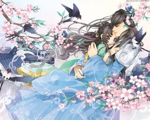 永不收费的黄色污染app
